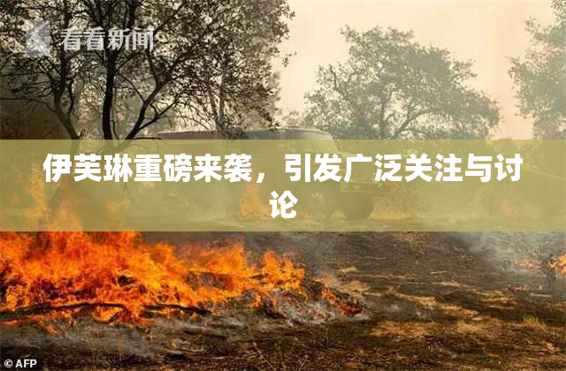 伊芙琳重磅来袭，引发广泛关注与讨论