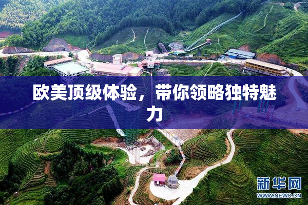 欧美顶级体验，带你领略独特魅力