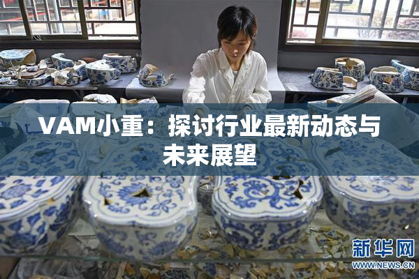 VAM小重：探讨行业最新动态与未来展望