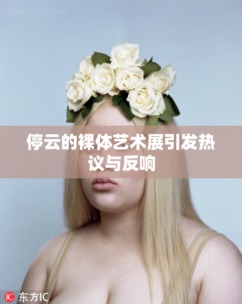 停云的裸体艺术展引发热议与反响