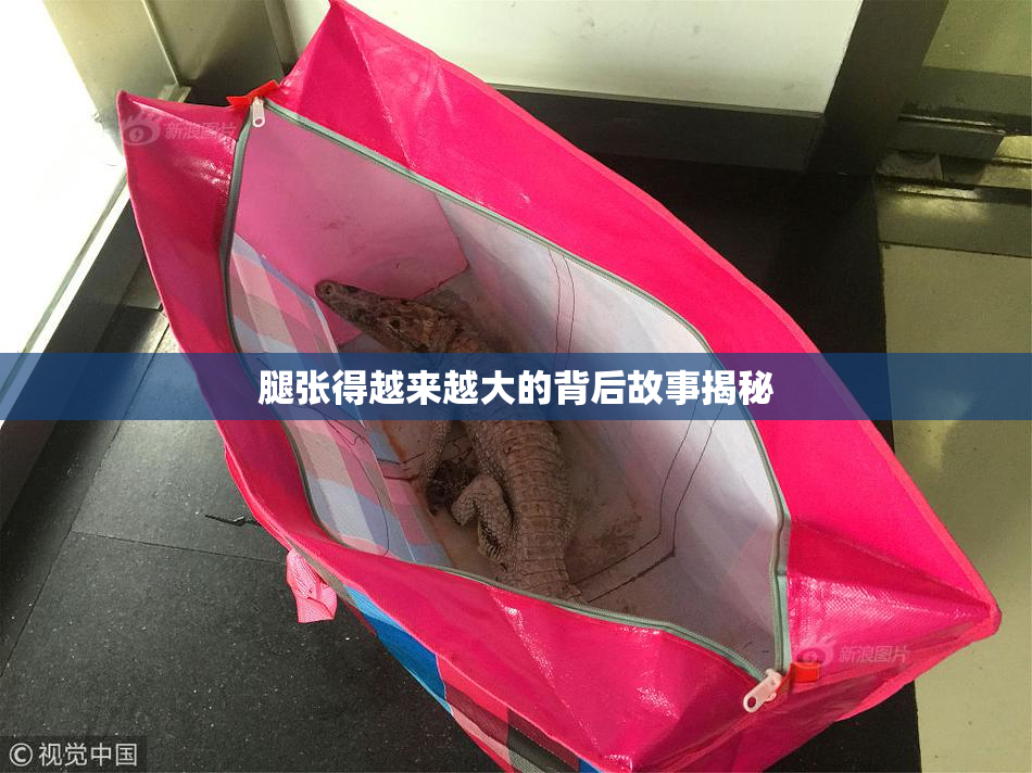 腿张得越来越大的背后故事揭秘