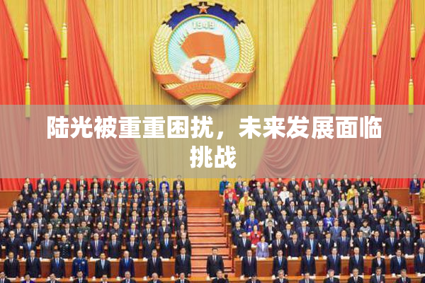 陆光被重重困扰，未来发展面临挑战