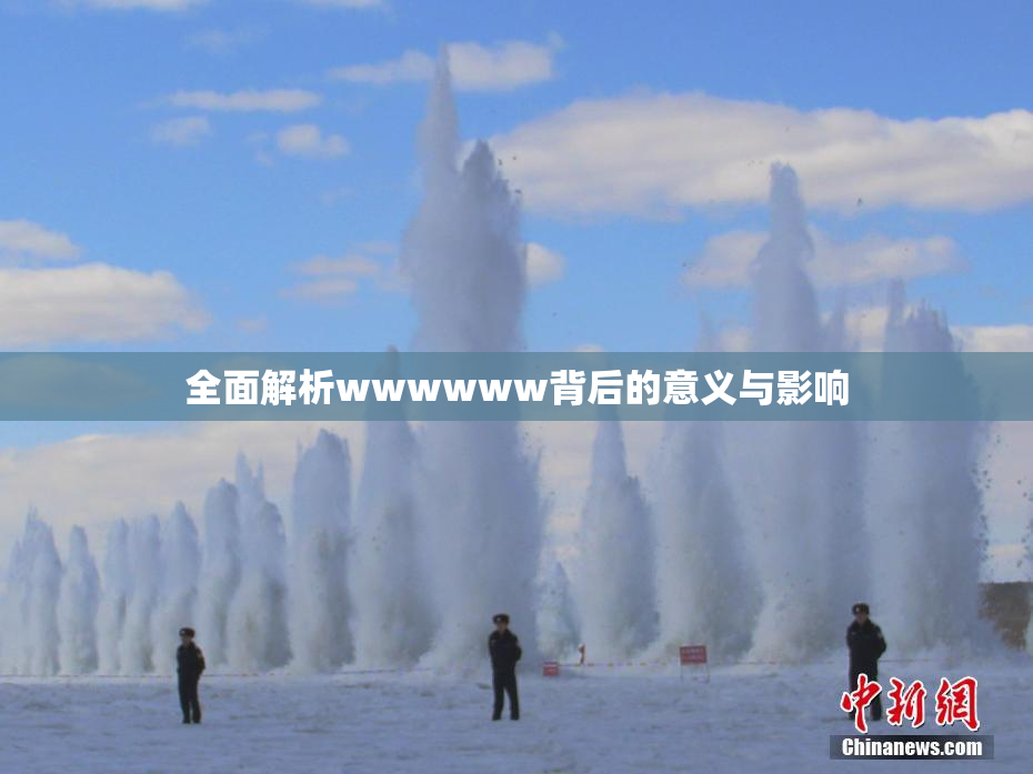 全面解析wwwwww背后的意义与影响