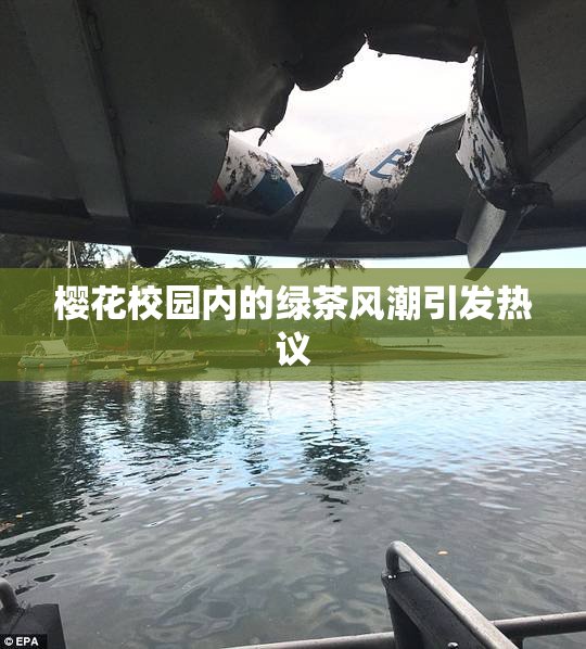 樱花校园内的绿茶风潮引发热议