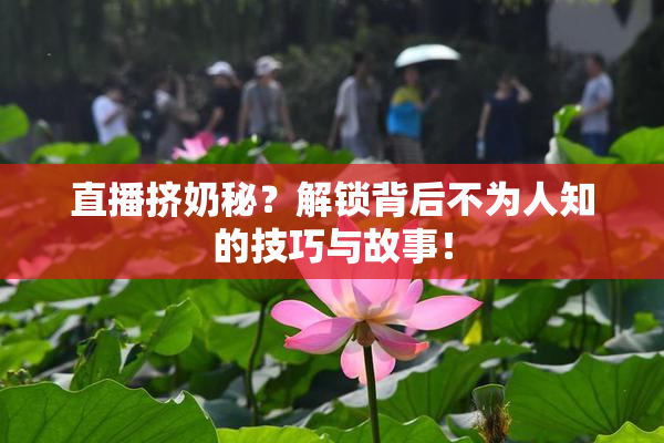 直播挤奶秘？解锁背后不为人知的技巧与故事！