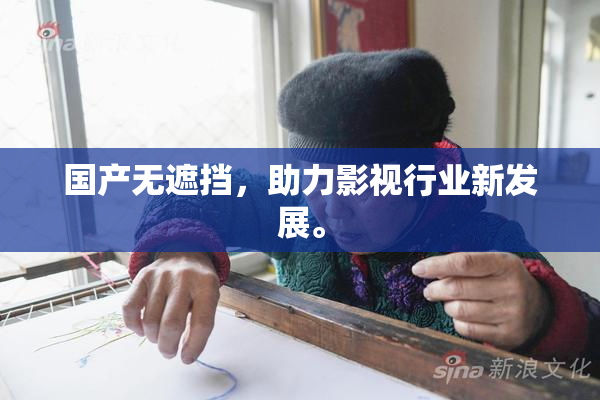国产无遮挡，助力影视行业新发展。