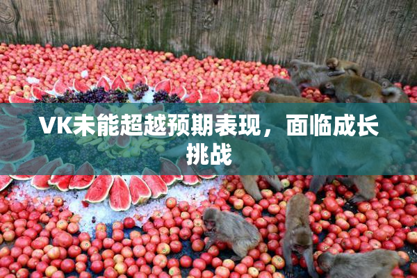 VK未能超越预期表现，面临成长挑战
