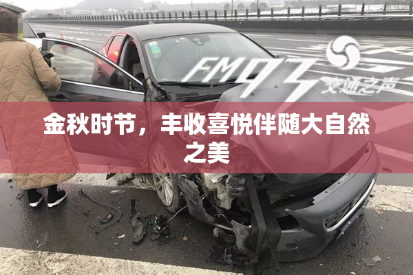 金秋时节，丰收喜悦伴随大自然之美