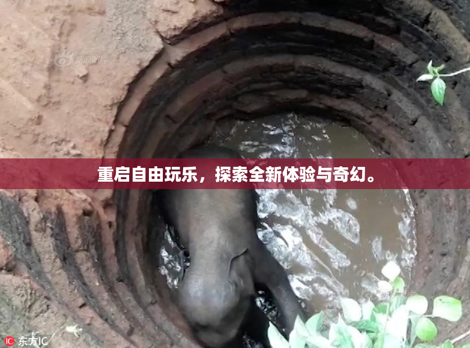 重启自由玩乐，探索全新体验与奇幻。