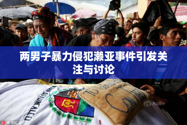 两男子暴力侵犯濑亚事件引发关注与讨论