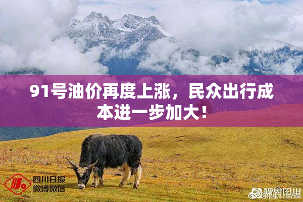 91号油价再度上涨，民众出行成本进一步加大！