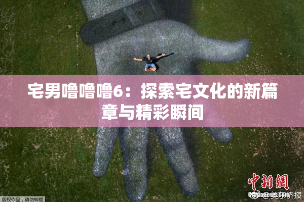 宅男噜噜噜6：探索宅文化的新篇章与精彩瞬间