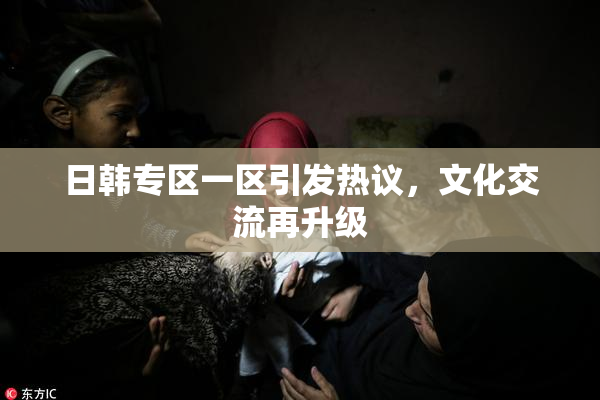 日韩专区一区引发热议，文化交流再升级