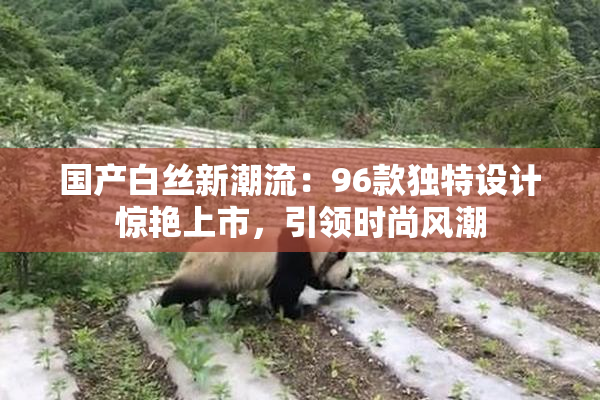 国产白丝新潮流：96款独特设计惊艳上市，引领时尚风潮