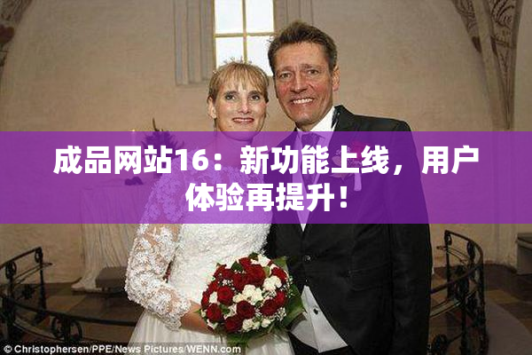 成品网站16：新功能上线，用户体验再提升！