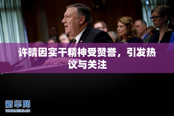 许晴因实干精神受赞誉，引发热议与关注