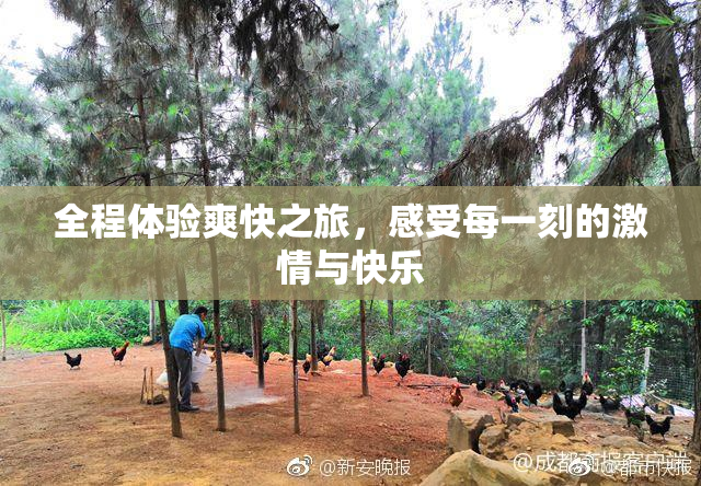 全程体验爽快之旅，感受每一刻的激情与快乐