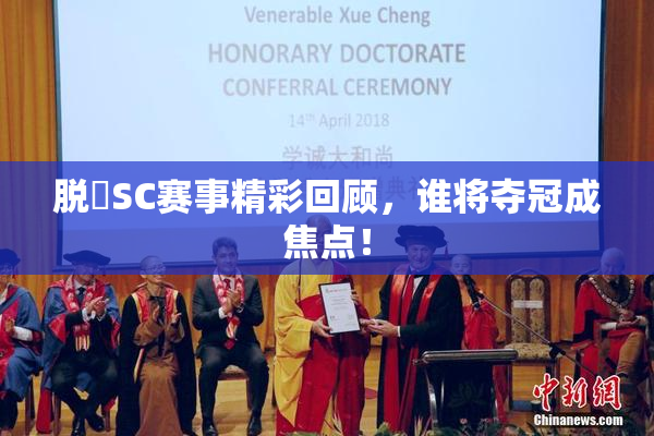 脱糞SC赛事精彩回顾，谁将夺冠成焦点！