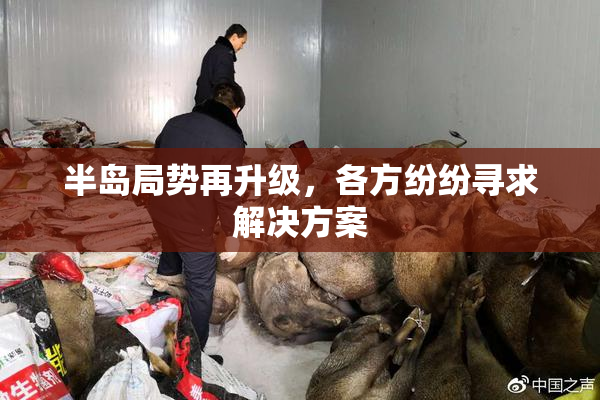 半岛局势再升级，各方纷纷寻求解决方案