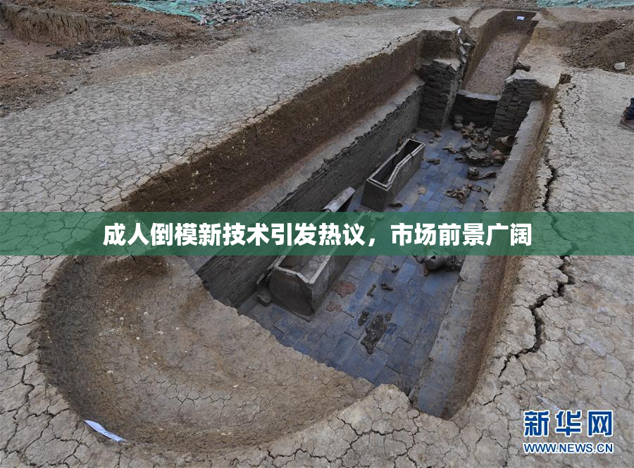 成人倒模新技术引发热议，市场前景广阔
