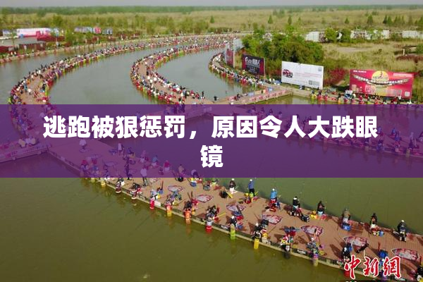 逃跑被狠惩罚，原因令人大跌眼镜
