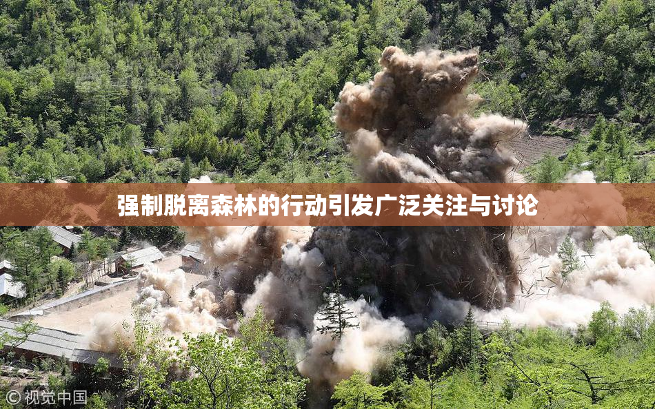 强制脱离森林的行动引发广泛关注与讨论