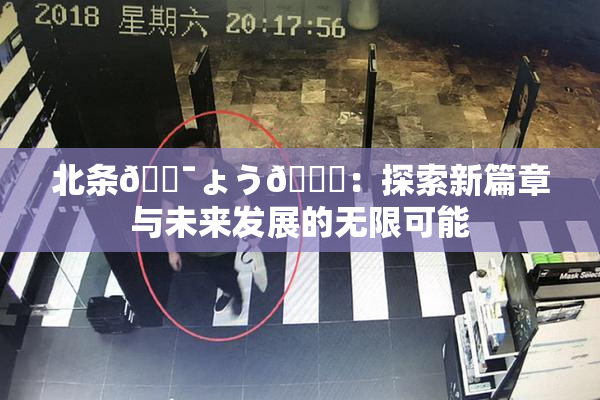 北条🔯ょう🍓：探索新篇章与未来发展的无限可能
