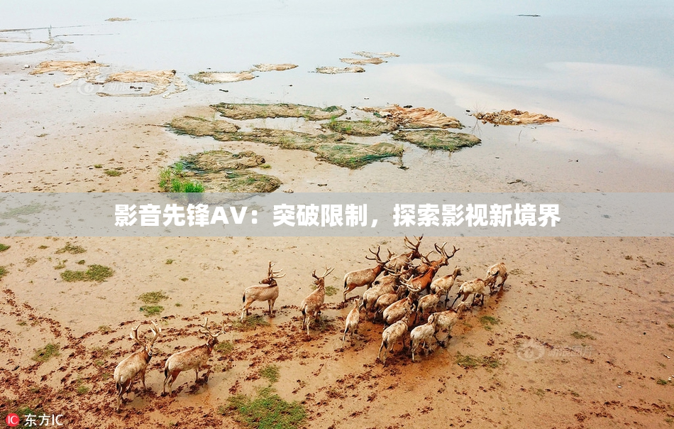 影音先锋AV：突破限制，探索影视新境界