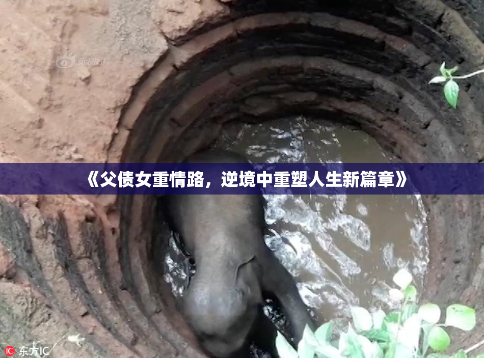 《父债女重情路，逆境中重塑人生新篇章》