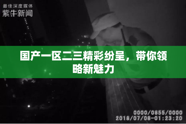 国产一区二三精彩纷呈，带你领略新魅力