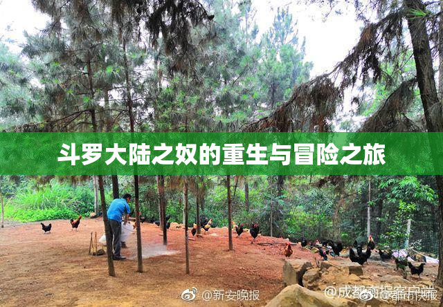 斗罗大陆之奴的重生与冒险之旅