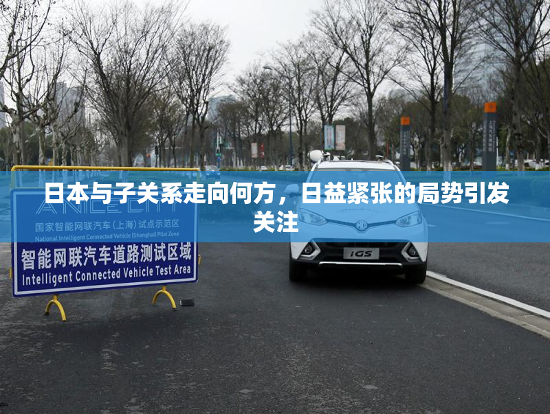 日本与子关系走向何方，日益紧张的局势引发关注