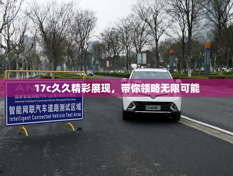 17c久久精彩展现，带你领略无限可能