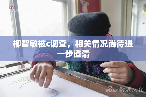 柳智敏被c调查，相关情况尚待进一步澄清