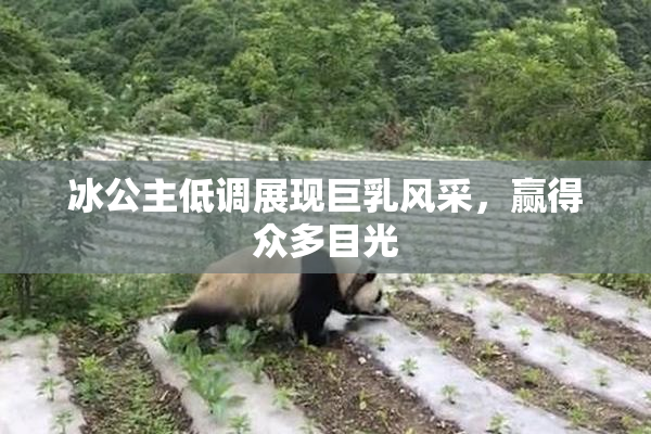 冰公主低调展现巨乳风采，赢得众多目光