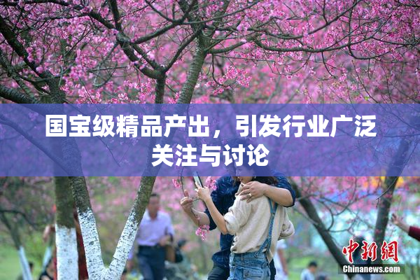 国宝级精品产出，引发行业广泛关注与讨论