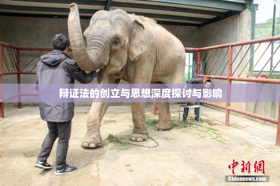 辩证法的创立与思想深度探讨与影响