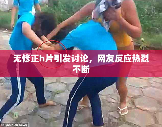 无修正h片引发讨论，网友反应热烈不断