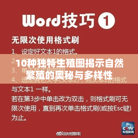 10种独特生殖图揭示自然繁殖的奥秘与多样性