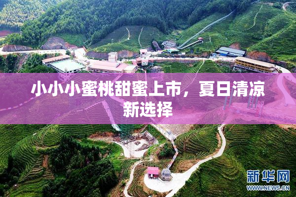 小小小蜜桃甜蜜上市，夏日清凉新选择