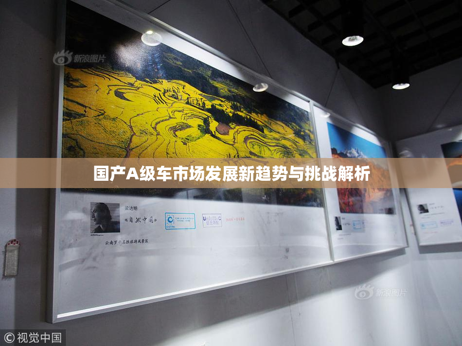 国产A级车市场发展新趋势与挑战解析