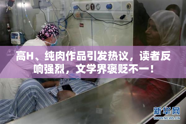 高H、纯肉作品引发热议，读者反响强烈，文学界褒贬不一！