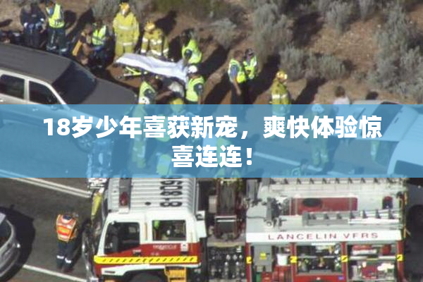 18岁少年喜获新宠，爽快体验惊喜连连！