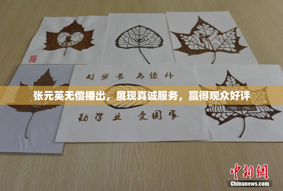 张元英无偿播出，展现真诚服务，赢得观众好评