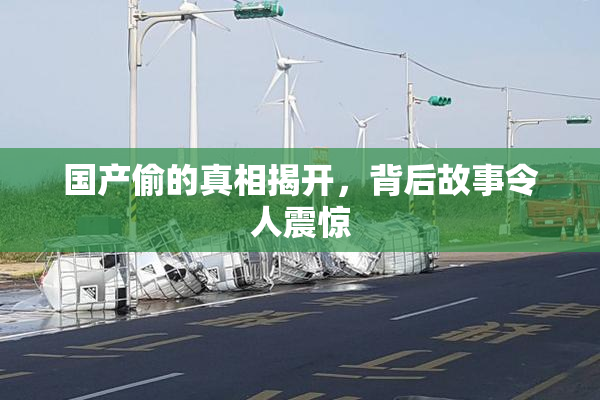 国产偷的真相揭开，背后故事令人震惊