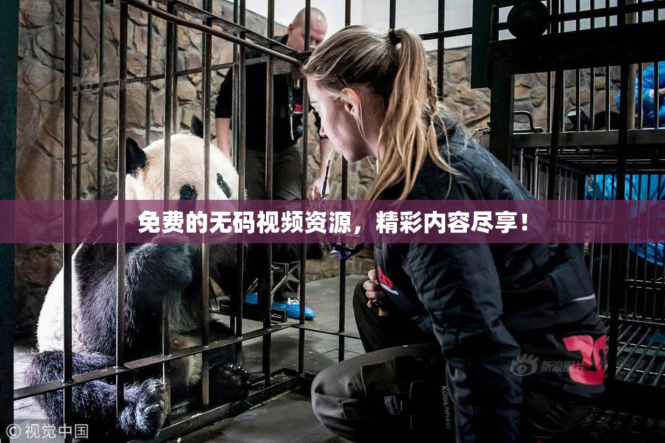 免费的无码视频资源，精彩内容尽享！