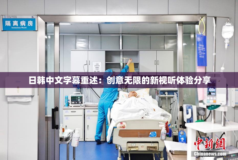 日韩中文字幕重述：创意无限的新视听体验分享