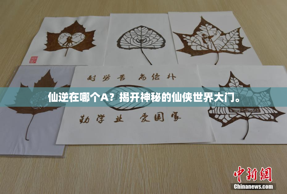 仙逆在哪个A？揭开神秘的仙侠世界大门。