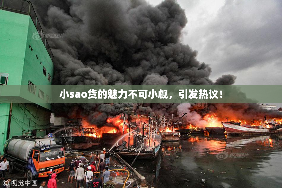小sao货的魅力不可小觑，引发热议！
