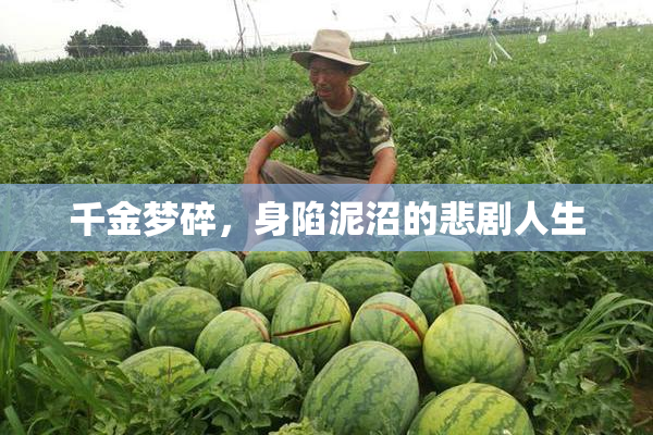 千金梦碎，身陷泥沼的悲剧人生